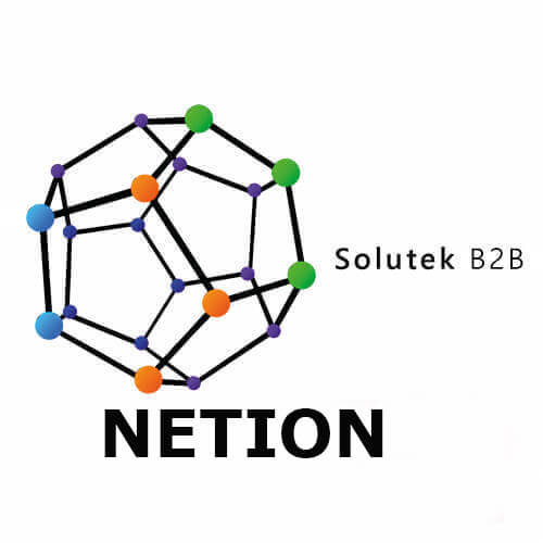 Netion