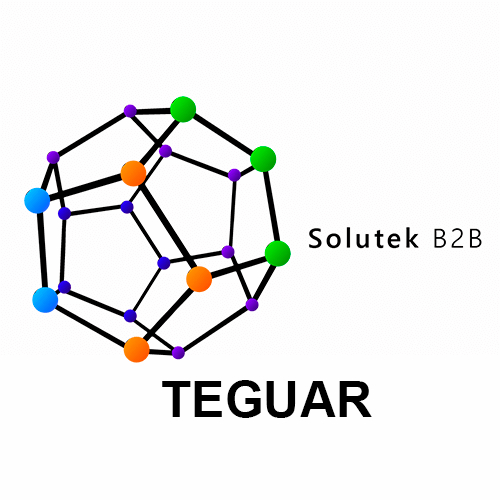 Teguar